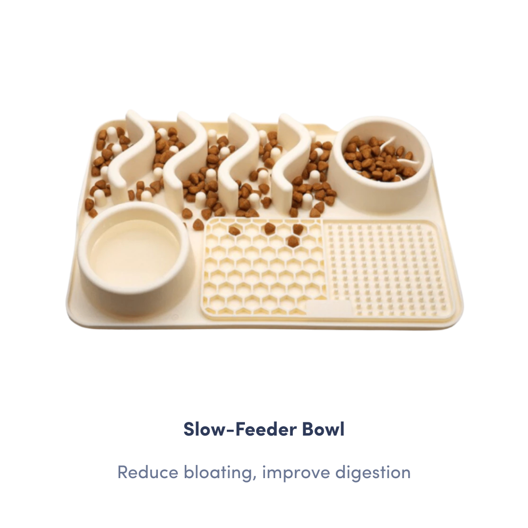 Nutrition Upgrade Kit