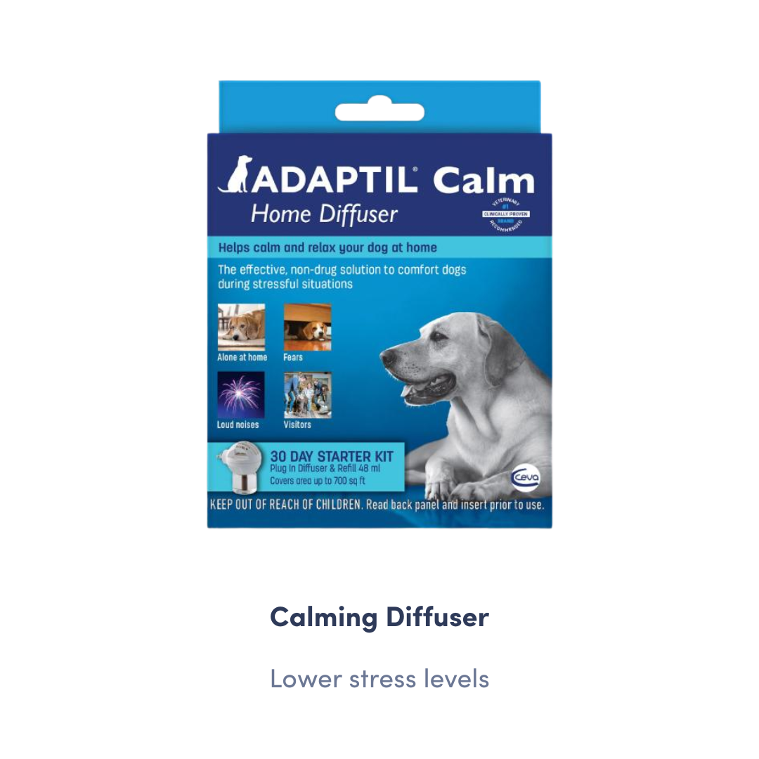 Calm-Mind Enrichment Kit