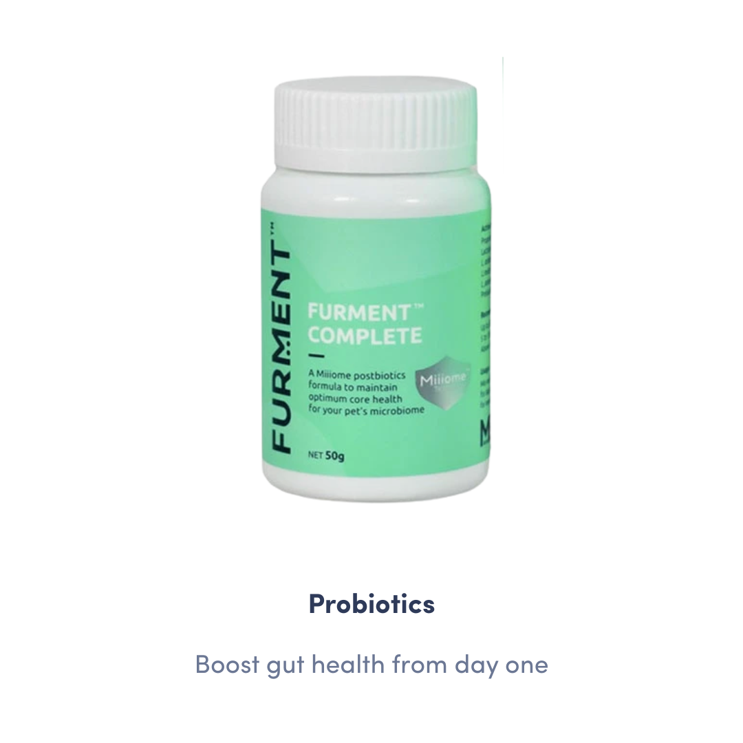 Nutrition Upgrade Kit