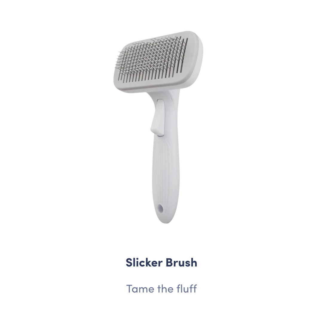 Starter Grooming Kit