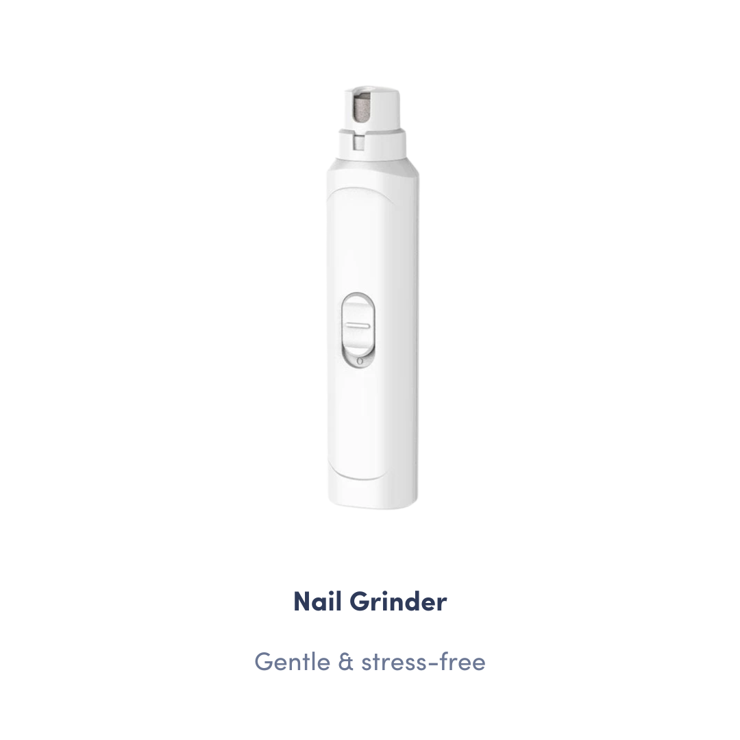 Starter Grooming Kit