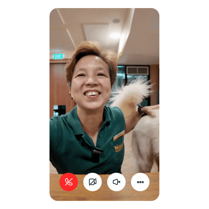 1-on-1 Dog Training Consult