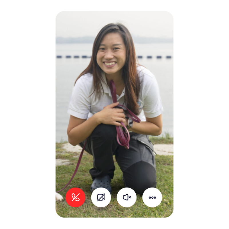 1-on-1 Dog Training Consult