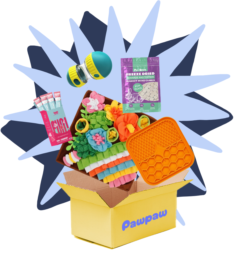 Barking Box – Keep Your Dog Busy & Happy!