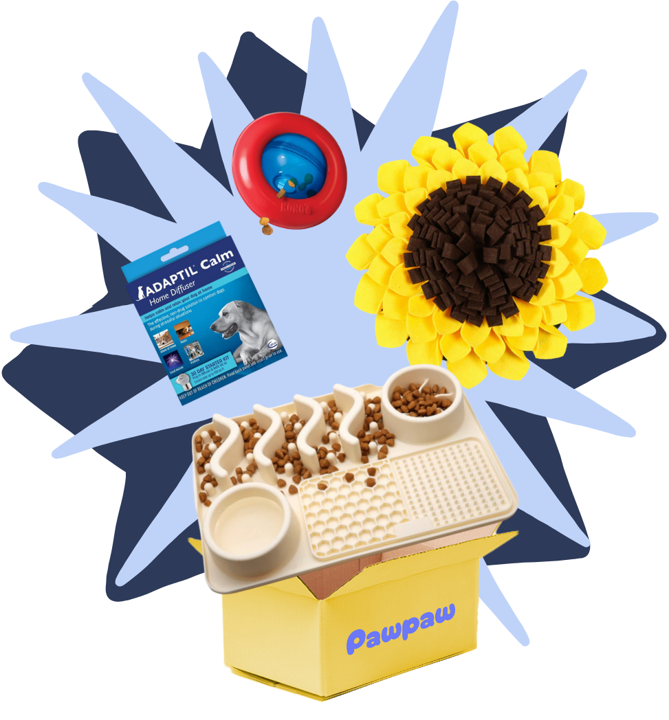 Calm-Mind Enrichment Kit