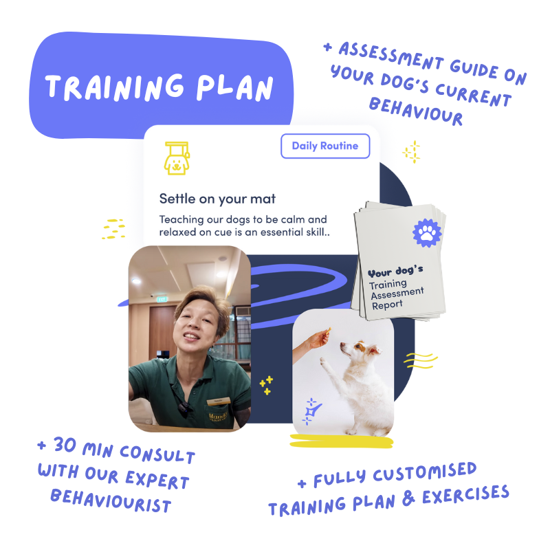 Training Plan