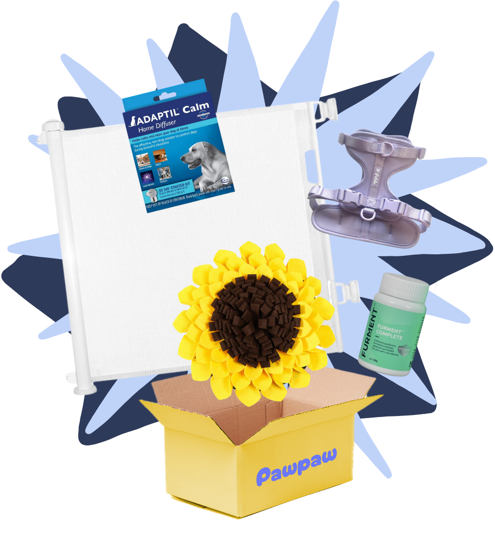 Rescue Reset Starter Kit