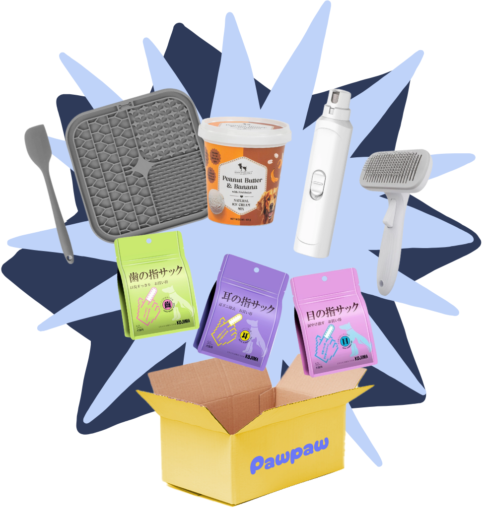 Starter Grooming Kit