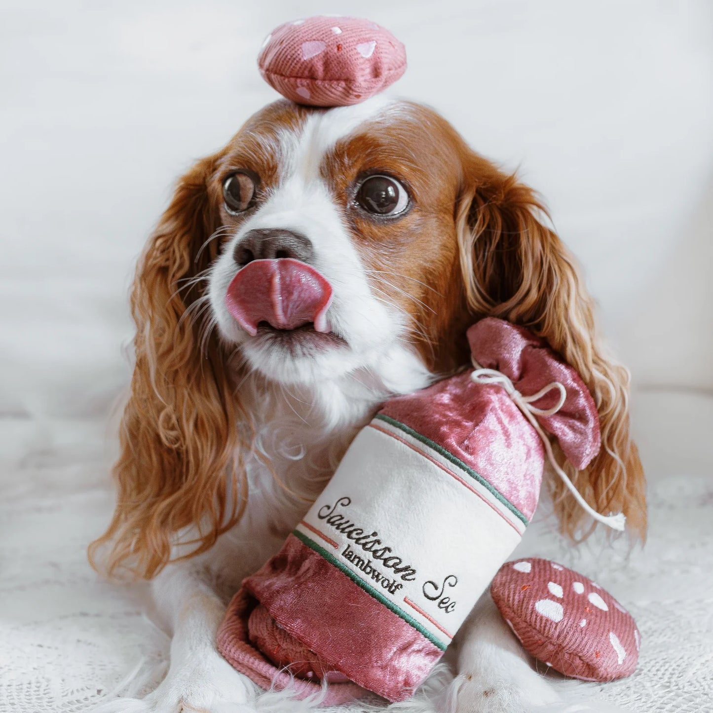 Burrow Saucisson (Set of 4)