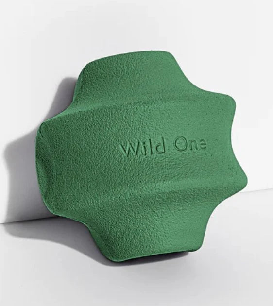 Wild One Twist Toss Dog Chew Toy