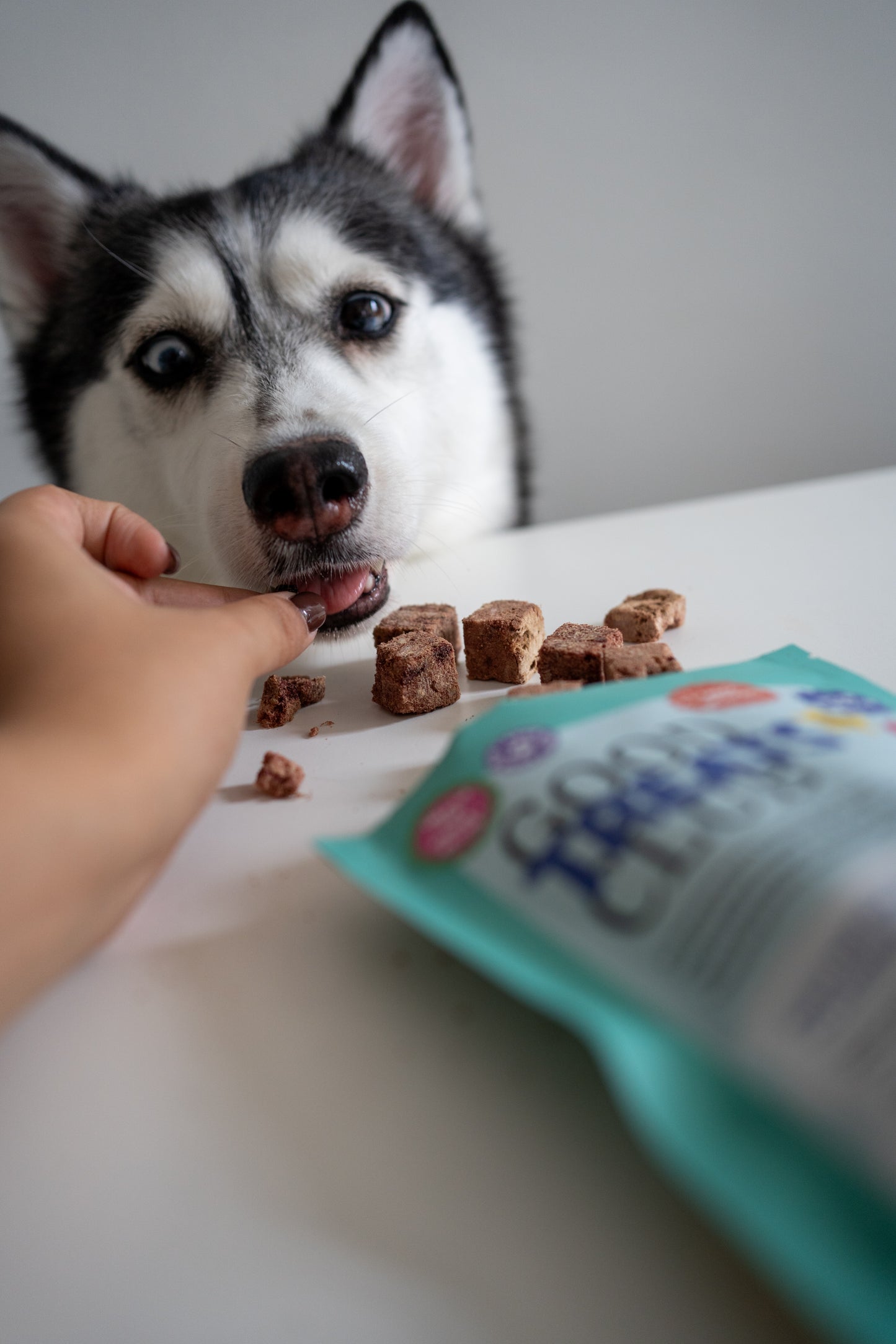 Good Treats Club – Novel Protein Bundle with Booster