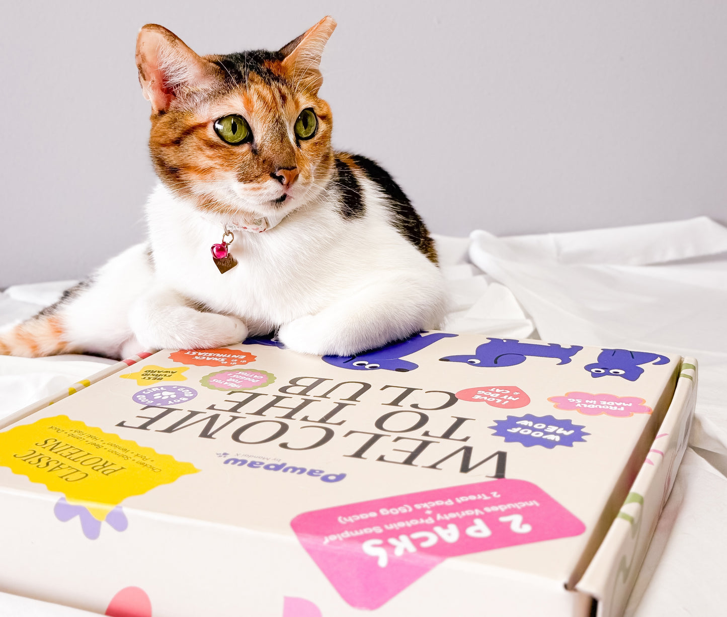 Good Treats Club – Classic Protein Bundle with Booster