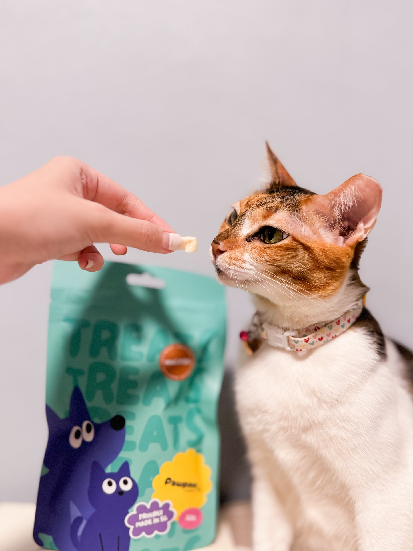 Good Treats Club – Novel Protein Bundle with Booster