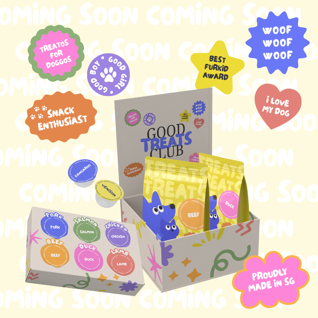 Good Treats Club – Classic Protein Bundle (Pre-order)