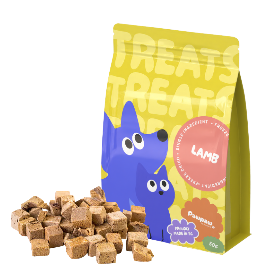 Good Treats Club – Classic Protein Bundle (Pre-order)