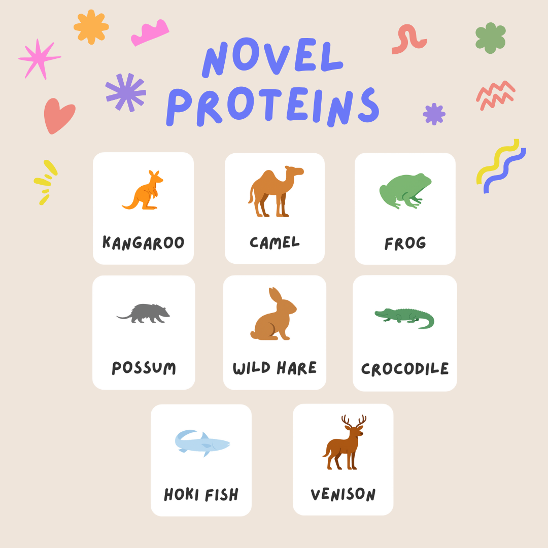 Good Treats Club – Novel Protein Bundle with Booster