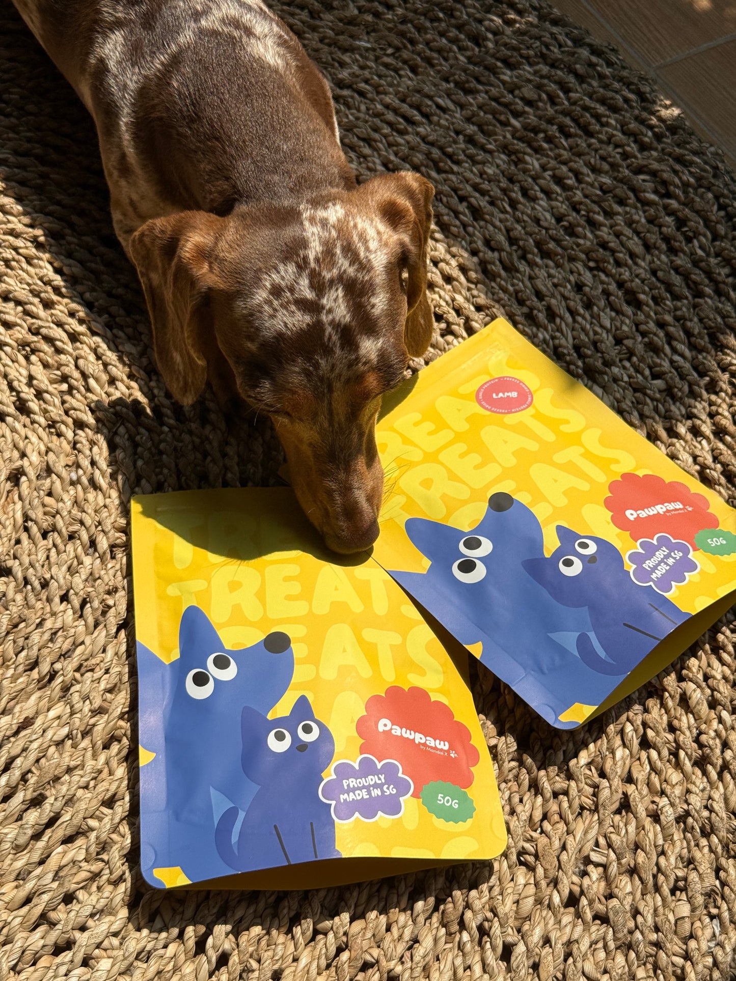 Good Treats Club – Classic Protein Bundle with Booster