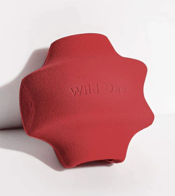 Wild One Twist Toss Dog Chew Toy